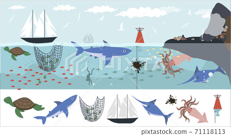 A set of flat sea animals. Marine life,... - Stock Illustration [71118113]  - PIXTA