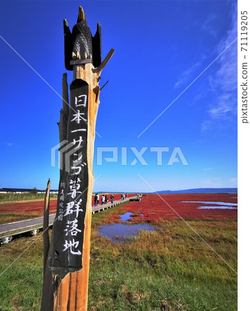 Lake Notoro coral grass community (in Ubaranai, Abashiri City, Hokkaido) 71119205