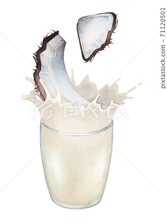 Watercolor sliced coconuts falling into the glass with milk splashes. 71120501