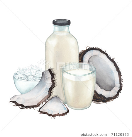 Watercolor glass and bottle of the plant based milk surrounded by coconuts and flakes Watercolor glass and bottle of the plant based milk surrounded by coconuts and flakes 71120523