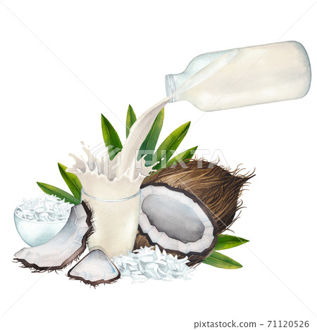 Watercolor plant based milk pouring out from the glass bottle into the cup with a splashes and decorated with coconuts Watercolor plant based milk pouring out from the glass bottle into the cup with a splashes and decorated with coconuts 71120526