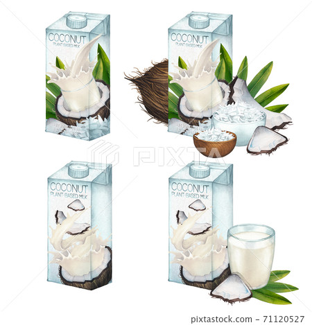 Watercolor collection of plant based coconut milk in cartons with various package design Watercolor collection of plant based coconut milk in cartons with various package design 71120527