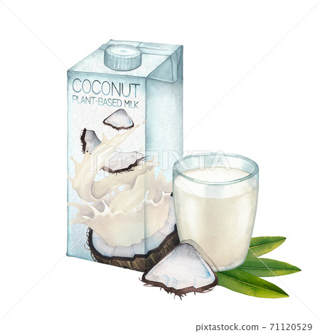 Watercolor carton of plant based milk decorated with glass and coconut Watercolor carton of plant based milk decorated with glass and coconut 71120529