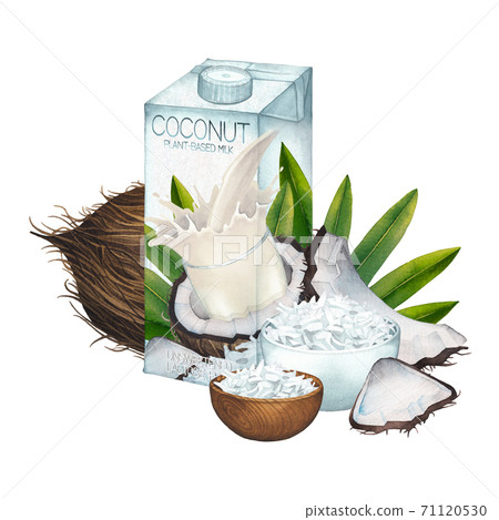 Watercolor carton of plant based milk decorated with coconuts, leaves and bowls of flakes. 71120530