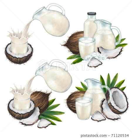 Watercolor collection of plant based milk in the glass jugs and cups decorated with coconuts 71120534