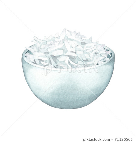Watercolor bowls of coconut flakes isolated on the white background 71120565