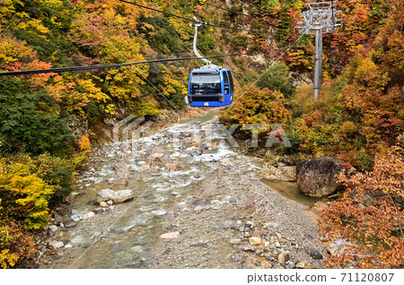 新潟縣，紅葉壯麗景色，苗場龍朵拉 71120807