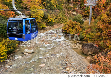 新潟縣,紅葉壯麗景色,苗場龍朵拉 新潟縣,紅葉壯麗景色,苗場龍朵拉 71120808