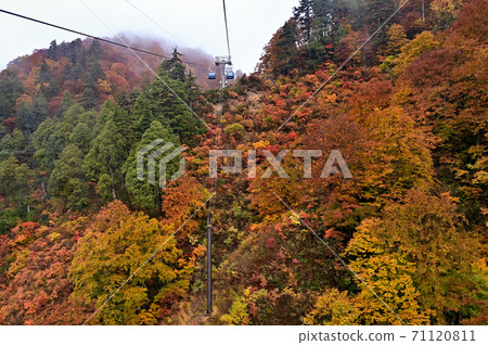 新潟縣，紅葉壯麗景色，苗場龍朵拉 71120811
