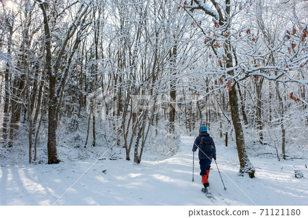 Enjoy snowshoe trekking in the fresh snow forest 71121180