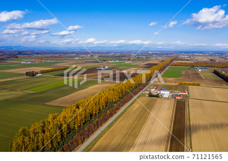 Aerial view of Memuro town Aerial view of Memuro town 71121565