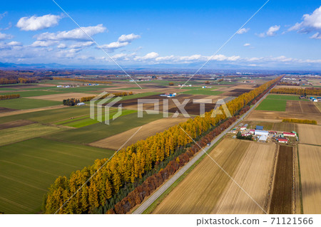 Aerial view of Memuro town 71121566