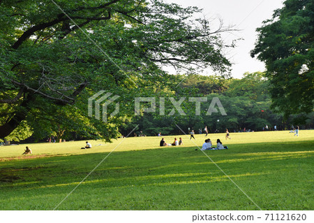 人們在公園裡放鬆 71121620