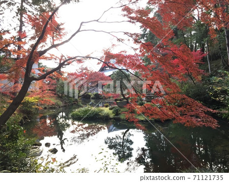 京都秋天的近海光明寺 京都秋天的近海光明寺 71121735