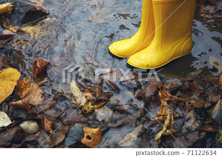 Feet of child in yellow rubber boots jumping in puddle at the autumn day. 71122634