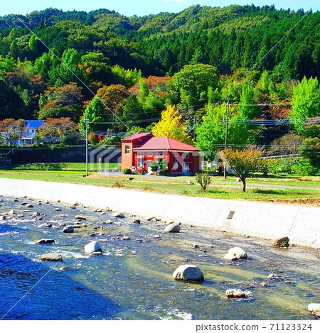 Autumn leaves landscape 71123324