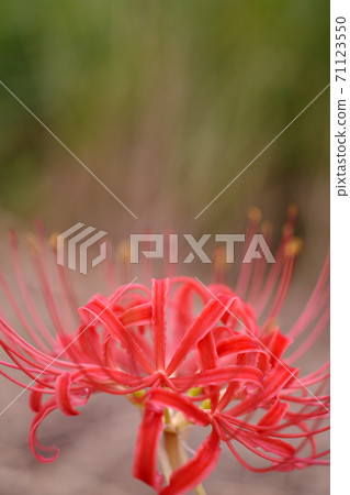 文殊坂的垂直位置 71123550