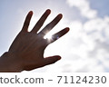 The palm to the sun 71124230