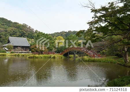 橫濱/金澤名寺 橫濱/金澤名寺 71124318