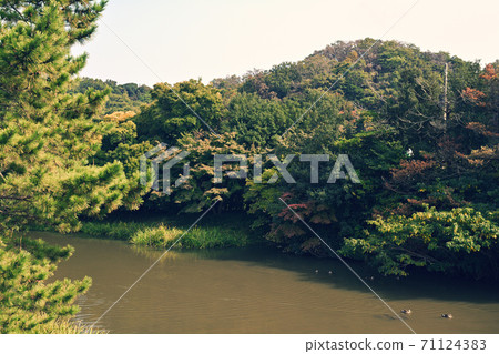 Yokohama / Kanazawa Shomyoji Temple Yokohama / Kanazawa Shomyoji Temple 71124383