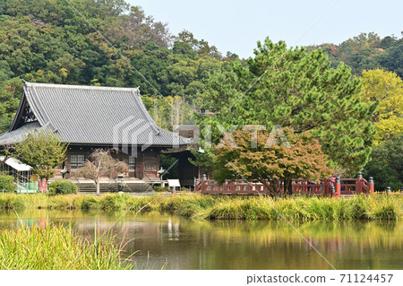 橫濱/金澤名寺 71124457