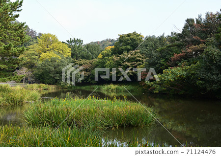 Yokohama / Kanazawa Shomyoji Temple Yokohama / Kanazawa Shomyoji Temple 71124476