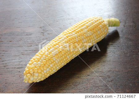 Image of corn Image of corn 71124667
