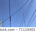 Clear sky and electric wires 71124905