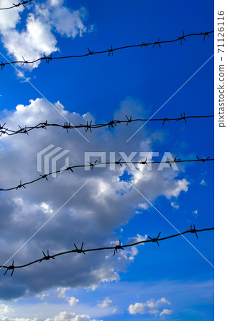 Barb wire fence and blue sky .Diagonal barbed wire and sky. 71126116