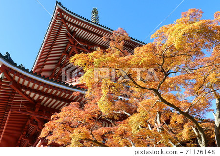 秋葉成田山新勝寺和平塔,千葉縣成田市田町 秋葉成田山新勝寺和平塔,千葉縣成田市田町 71126148