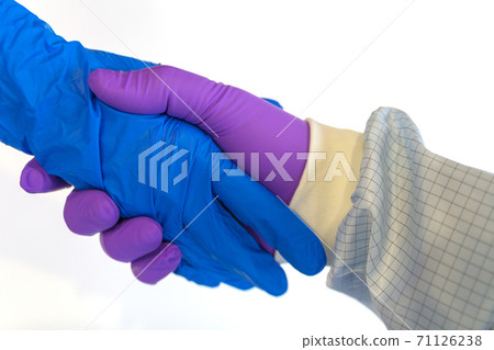 handshake in a blue and purple gloves isolated on white background handshake in a blue and purple gloves isolated on white background 71126238