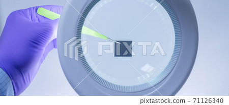 Hand in glove holding microchip with pair of tweezers under magnifying glass . Banner format. Hand in glove holding microchip with pair of tweezers under magnifying glass . Banner format. 71126340