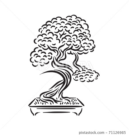 japanese bonsai tree drawing