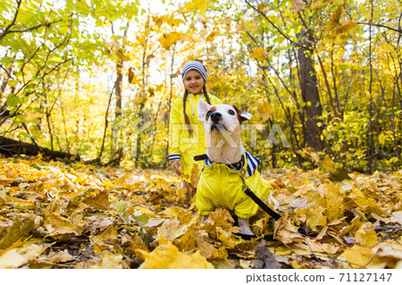 Little girl playing with her dog in autumn forest. Child and jack russell terrier dog. Little girl playing with her dog in autumn forest. Child and jack russell terrier dog. 71127147