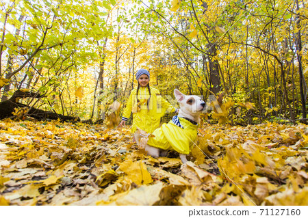 Little girl with a dog jack russell terrier. Child, childhood, friendship and pet concept. Small dog walking in the autumn park. Little girl with a dog jack russell terrier. Child, childhood, friendship and pet concept. Small dog walking in the autumn park. 71127160