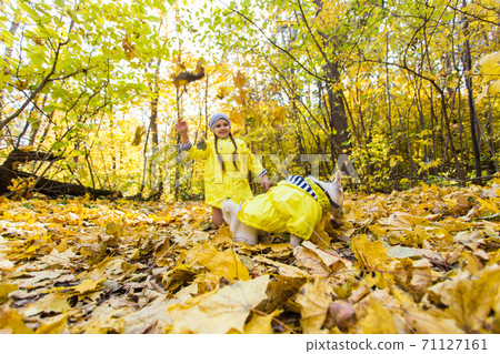 Child girl with dog outdoors. Kid with pet at autumn. Jack russell terrier puppy. 71127161