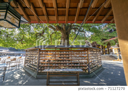 Meiji Jingu  71127270