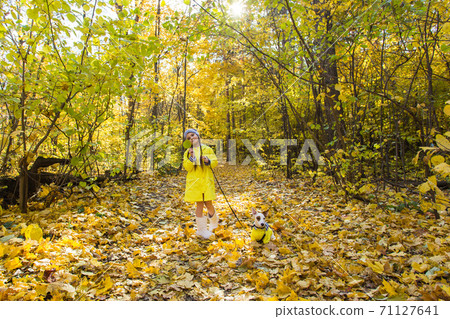 Child girl with dog outdoors. Kid with pet at autumn. Jack russell terrier puppy. Child girl with dog outdoors. Kid with pet at autumn. Jack russell terrier puppy. 71127641