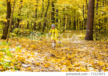 Child plays with Jack Russell Terrier in autumn forest. Autumn walk with a dog, children and pet concept. 71127671