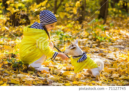 Little girl playing with her dog in autumn forest. Child and jack russell terrier dog. Little girl playing with her dog in autumn forest. Child and jack russell terrier dog. 71127745