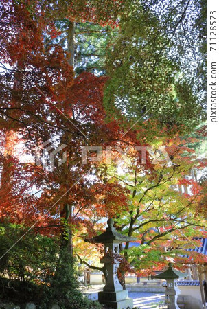 信州山寺的秋葉 71128573