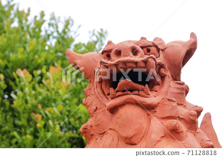 Shisa Shisa 71128818