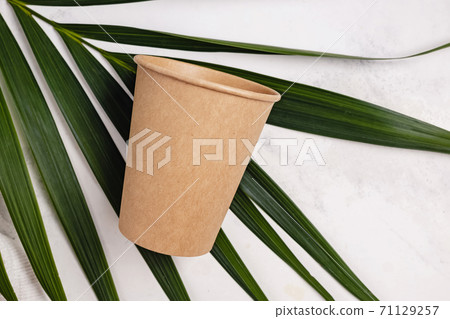 Coffee cup made of paper and green palm leaf 71129257