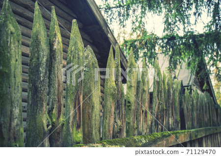 ancient style wooden wall Palisade. High wooden antique palisade. Fence made of sharp wooden stakes on the background of logs. ancient style wooden wall Palisade. toned 71129470