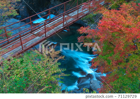 奈良縣野信川村山stream秋葉紅橋 71129729