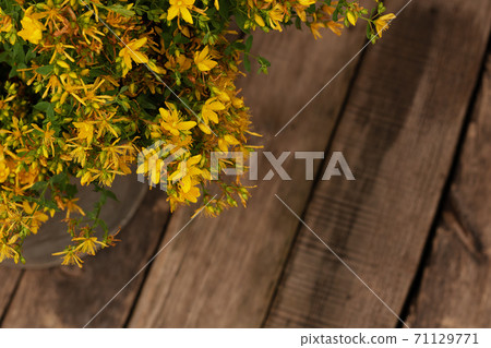 Harvesting herbs for storage. Alternative medicine is good for your health. Natural nature and rustic style. Yellow flowering plants. Hypericum. 71129771