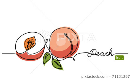 Peach simple vector illustration. One continuous line drawing art illustration with lettering peach fruit Peach simple vector illustration. One continuous line drawing art illustration with lettering peach fruit 71131297