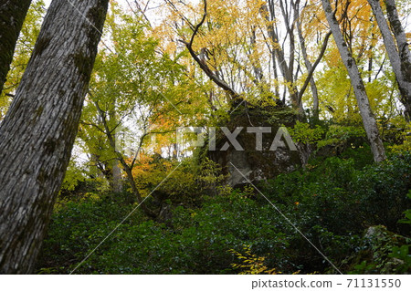 通往納埃納瀑布的山上的秋葉 通往納埃納瀑布的山上的秋葉 71131550