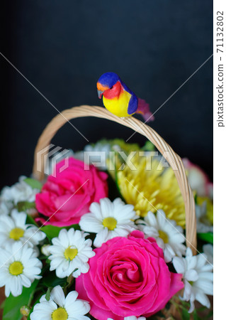 Gift bouquet of flowers in a wicker basket with a handle on a dark background. 71132802