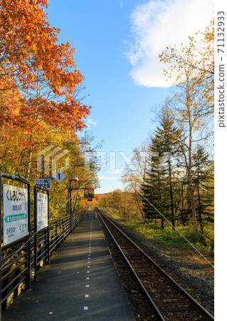 Fall local line 71132933